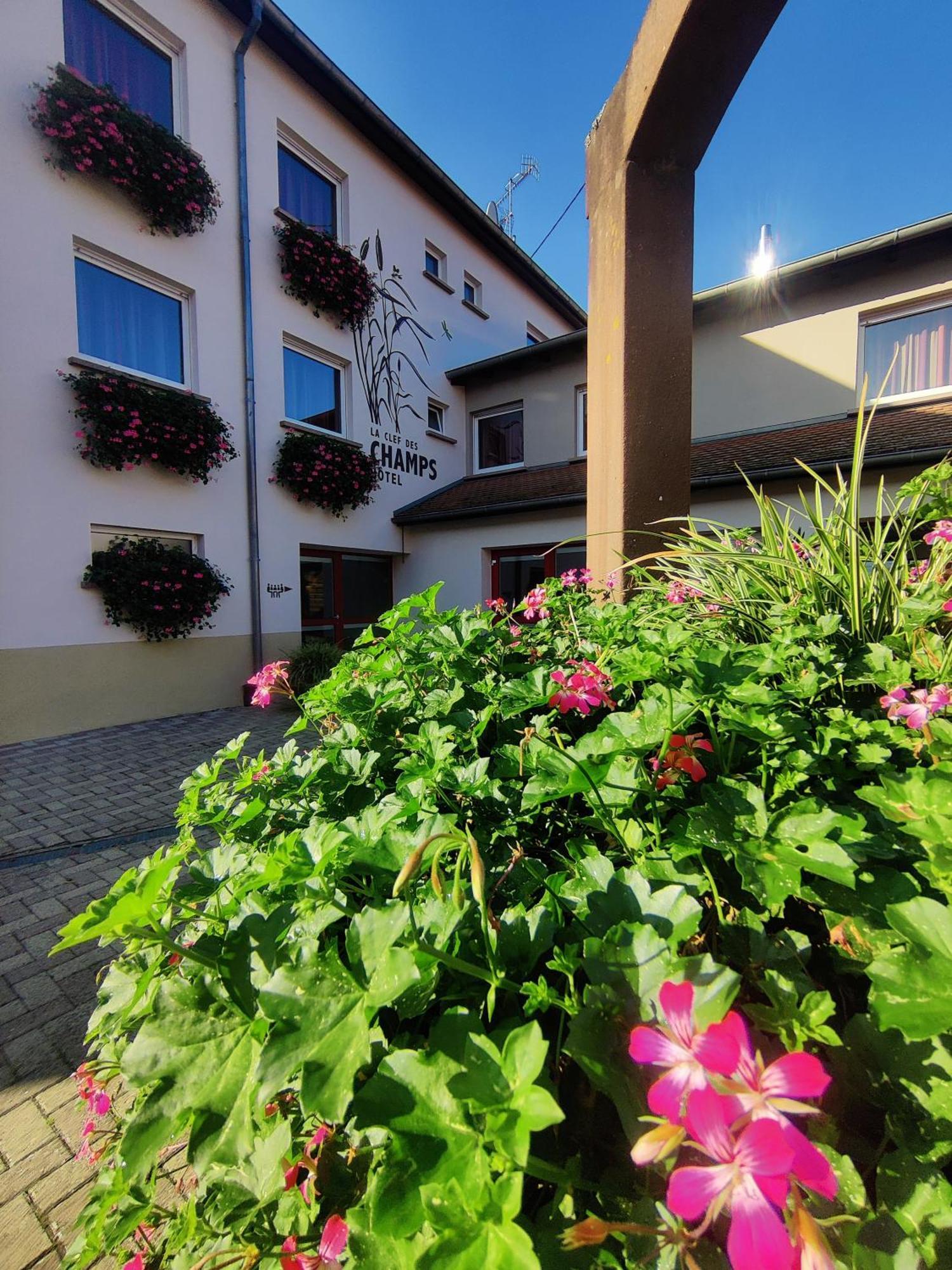 La Clef Des Champs - Proche Colmar Hotel Biesheim Exterior photo